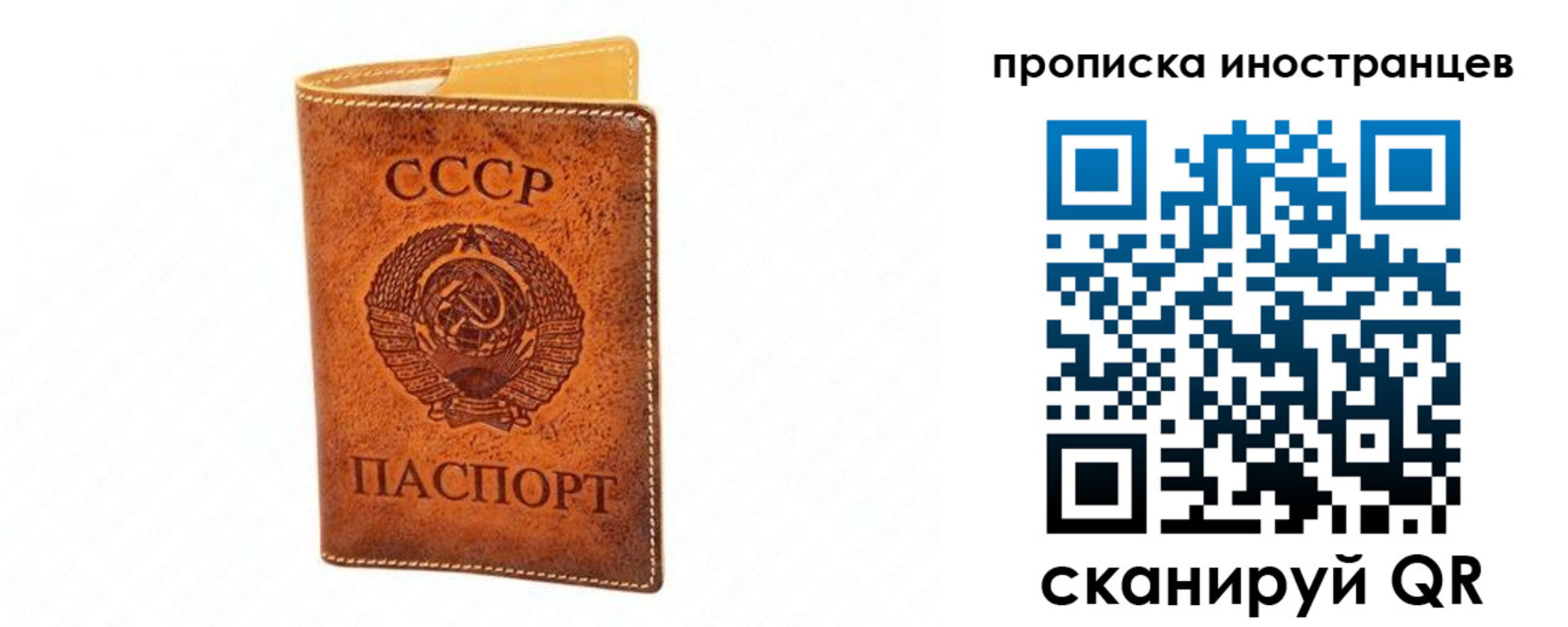 прописка для школы в Всеволожске